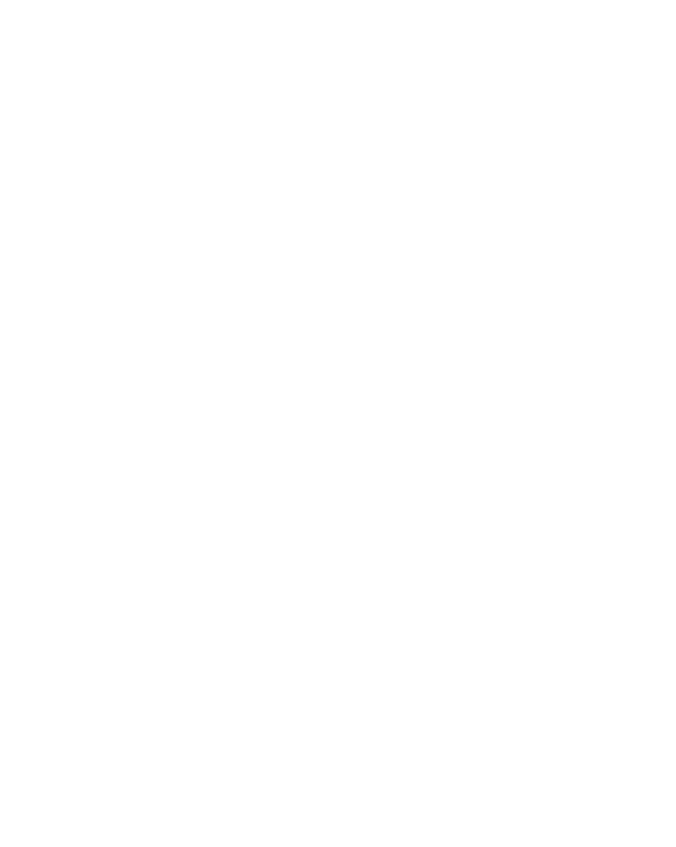 CZECH TOP 100