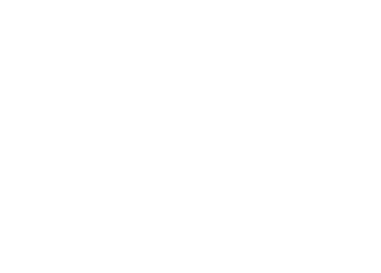 TOP HOTEL